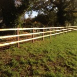 3 rail post and rail on creosote