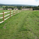 cleft chesnut post and rail surrey sussex hampshire