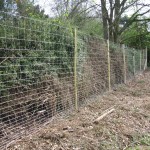 Deer-fencing1