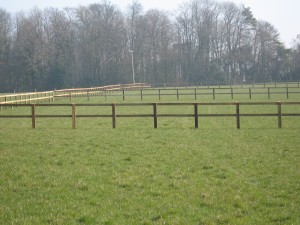 post-and-rail-paddocks1