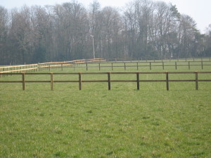 post-and-rail-paddocks